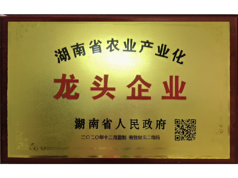 岳陽市漁之源食品有限公司,岳港漁都,洞庭魚港,散稱系列,田螺系列,臭豆腐加工，香豆腐加工，烤脖加工，魚仔,鴨排加工、雞丁加工代加工